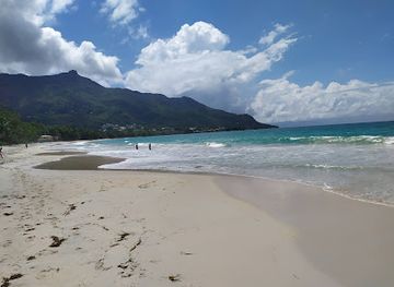 seychelles/denis-island/attraction/blue-sea-divers-seychelles