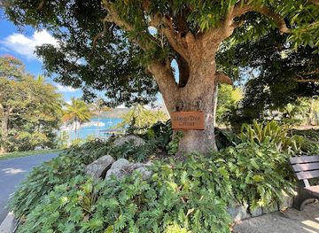 australia/whitsunday-islands/attraction/mango-tree-corner