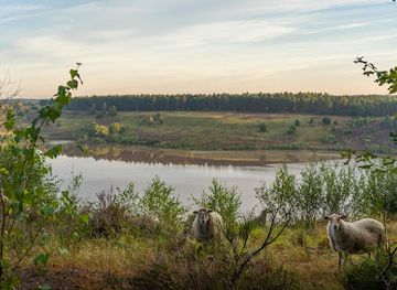 Mechelse Heide