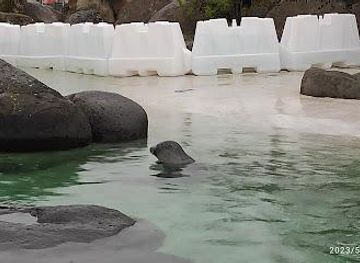 iceland/selfoss/attraction/reykjavik-park-and-zoo