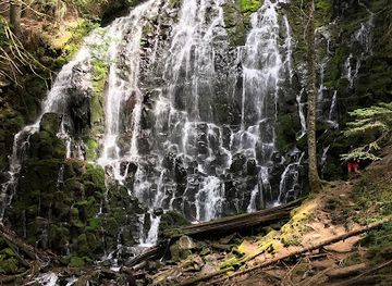 oregon/mount-hood-national-forest/attraction/ramona-falls-trailhead