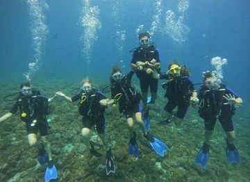 costa-rica/playa-flamingo/attraction/bubble-scuba-diving-school-tamarindo