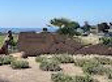 california/pismo-beach/attraction/art-in-the-park-at-dinosaur-caves