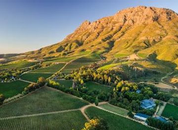 south-africa/cape-town/attraction/thelema-mountain-vineyards