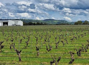 australia/adelaide/attraction/taste-the-barossa