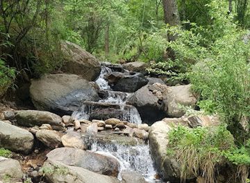 bhutan/thimphu/attraction/the-ancient-trail