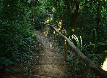 bolivia/santa-cruz-de-la-sierra/attraction/urbano-de-preservacion-ecologica-curichi-la-madre-park