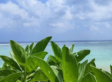 maldives/male/attraction/sunrise-eastern-beach