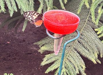 massachusetts/lowell/attraction/papillon-park