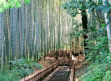 Hiyodori-Zaka