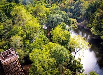 south-carolina/fort-mill/attraction/canaan-zipline-canopy-tours