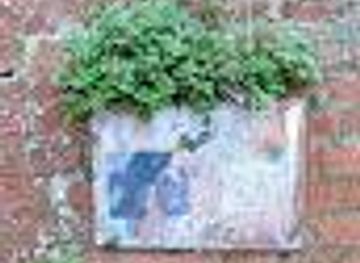 belgium/ypres/attraction/maison-des-chauves-souris