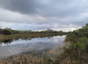 florida/big-cypress-national-preserve/attraction/southern-glades-wildlife-and-environmental-area