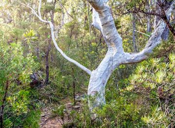 australia/southern-highlands/attraction/lovers-walking-track