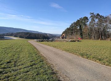 switzerland/jura-mountains/attraction/jurassica-fouilles-du-banne