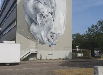 netherlands/south-holland/attraction/mural-street-art
