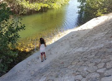 aruba/mangel-halto/attraction/green-corridor-aruba-spaans-lagoen-parkway