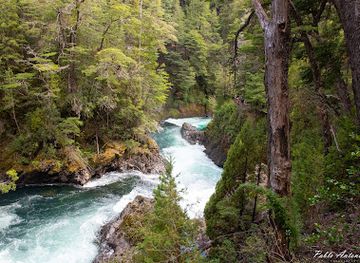 argentina/patagonia/attraction/cascada-los-alerces