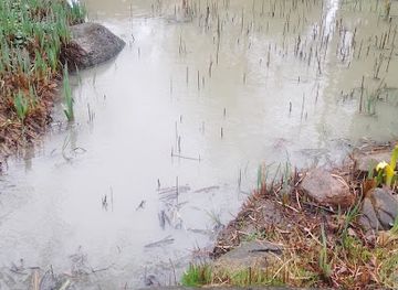 germany/lubeck/st-jurgen/attraction/molchteich