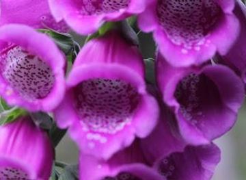 colombia/bogota/attraction/aventura-la-chorrera-park