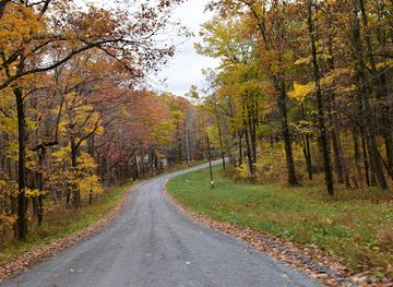 pennsylvania/allegheny-national-forest/attraction/simon-b-elliott-state-park