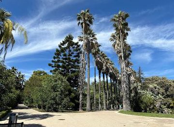portugal/lisbon/attraction/tropical-botanical-garden