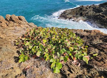 puerto-rico/culebra/attraction/northeast-tip-of-puerto-rico