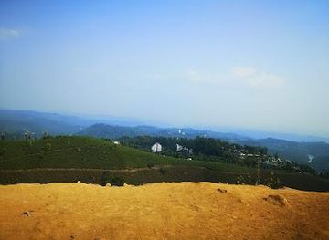 india/munnar/attraction/munnar-spices-and-ayuvedic-garden