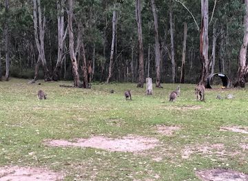 australia/central-west/attraction/yerranderie-private-town