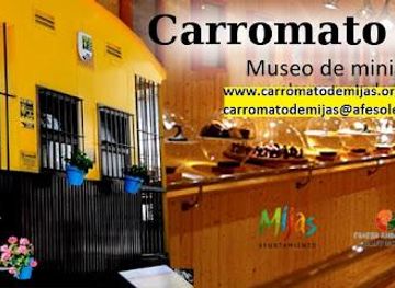 spain/ronda/attraction/mijas-wagon