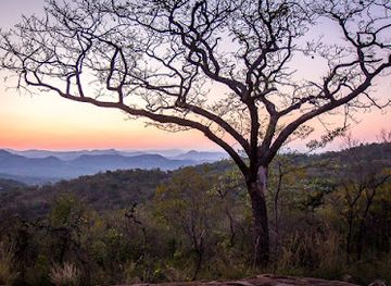 south-africa/highveld/attraction/mthethomusha-game-reserve
