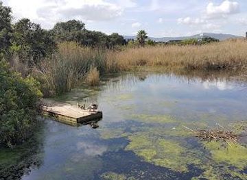 south-africa/cape-town/attraction/intaka-island