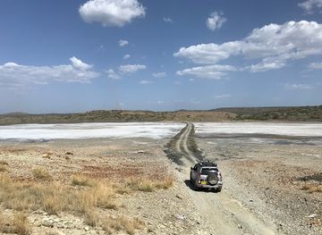 kenya/lake-magadi/attraction/lake-magadi-flamingo-viewing