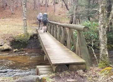 west-virginia/spruce-knob/attraction/judy-springs-campground