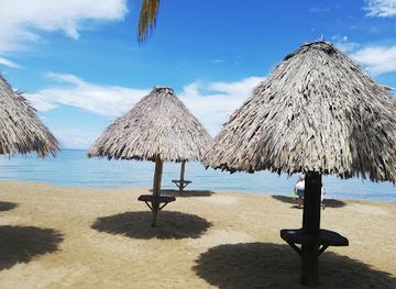 honduras/mosquito-coast/attraction/campo-del-mar
