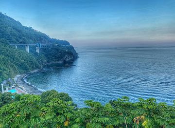 japan/izu/attraction/acao-forest