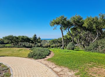 israel/caesarea/caesarea-golf-country-club/attraction/birds-mosaic