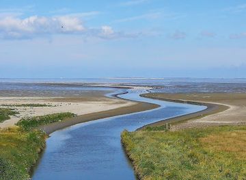 netherlands/dutch-coast/attraction/unesco-waddenzee