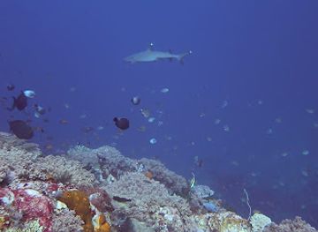 indonesia/komodo-national-park/attraction/castle-rock