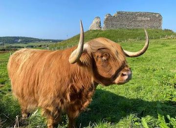 united-kingdom/inverness/attraction/castle-roy