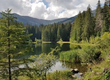 slovakia/nizke-tatry-national-park/attraction/vrbicke-pleso