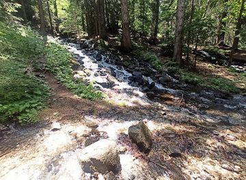 bulgaria/dobrinishte/attraction/izvori