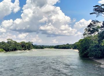 ecuador/amazon/attraction/rio-jatunyacu