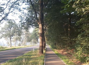 netherlands/hoge-veluwe-national-park/attraction/walking-in-de-hoge-veluwe