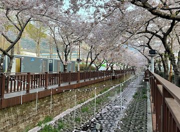 Yeojwacheon Stream