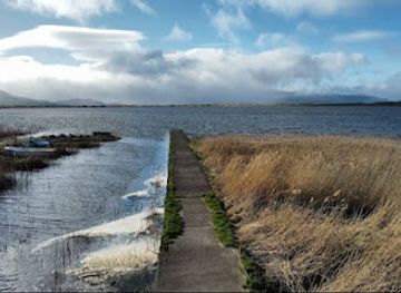ireland/dingle-peninsula/attraction/a-small-harbour