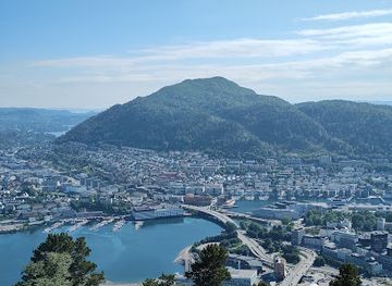 norway/bergen/floyen/attraction/the-floyen-goats