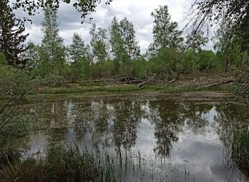belgium/hautes-fagnes/attraction/entenpfuhl
