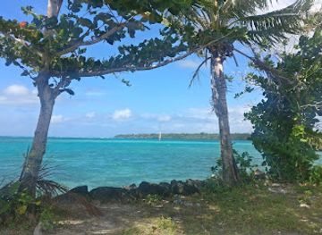 american-samoa/manu-a-islands/attraction/alofaaga-blowholes