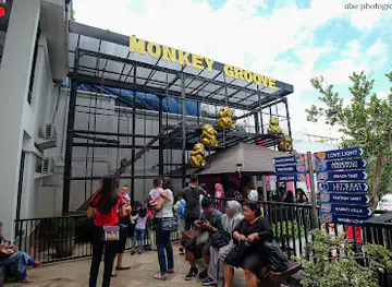 Monkey Groove